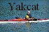 Go to Yakcat site