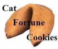 Cat Fortune Cookies