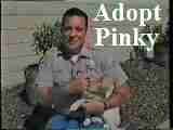SPCA Adoption